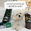 개코 | 강아지간식 강아지장난감 추천 독톡 개코볼 쩝키 솔직후기