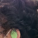 회르만보청기 | 밀양서울보청기 독일시그니아보청기전문 오늘은 장애등급받아 5년 전에 보청기를 착용하시고, 다시 5년...