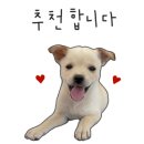 일광과자점 네이버블로그