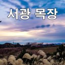 상기목장 이미지