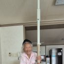 세종복지용구 티스토리