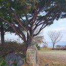 삼화축산 | 전남 곡성군 맛집 삼화관광농원 현지인도 찾아오는 곳