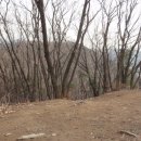 분수2리 이미지