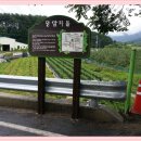 왕암마을 이미지