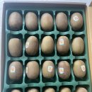 제이산부인과의원 | 임신 13주 김건우산부인과 1차 기형아검사 전 임산부 독감 걸린 후기