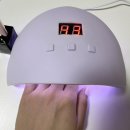네일해 - 사하구 | 다이소 젤네일 셀프제거 후 '링링젤네일(페일핑크)'해본 후기 | 여름네일추천