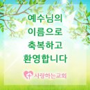 초지2로 Daum카페