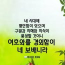 일곱번째고양이펜션