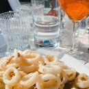 오징어이야기 이미지