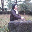 눈솔