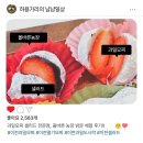 통미농장 | [경기/이천] 이천딸기모찌 맛집 올바른농장 신선한 과일 간식 추천