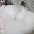 파인항균세탁 이미지