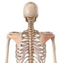 우송대학교 보건복지대학원 이미지