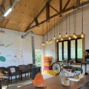 개량농장 | 제주 애월 귤따기 체험 귤빛정원 감귤농장