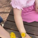 연천세계캠핑체험존 - 야영장 이미지