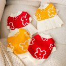 도그월드 이미지