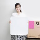 엘이디 이데일리
