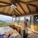 솜니움트리 이미지