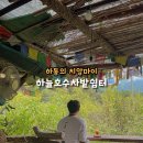 하늘호수&어부와자연인 | 하동 카페 치앙마이 감성 마운틴뷰 끝판왕 하늘호수차밭쉼터