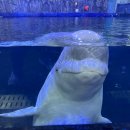 고음농장 이미지