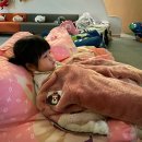밀크북극장 | 29개월 아기랑 :: 밀크북 바이 모노 플렉스, 파주 어린이영화관, 파주 아이와 가볼 만한 곳, 36...