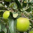 미락농장 이미지