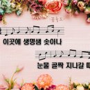 꽃들도 - 칠곡군 자조1길 9-18 | 꽃들도