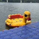 [가평] 캠프통포레스트 | 여름 빠지 추천 | 내돈내산 추천 후기
