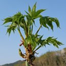 순만농장 이미지