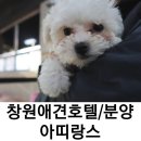 팔용프라자약국 이미지