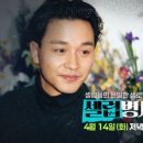 셀럽 bnt뉴스