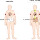 논문) 2019) 면역학과 개체성 Immunology and individuality 이미지