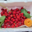 대전리 백계당 이미지