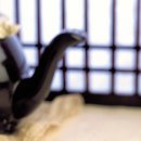 하당우리한의원 이미지