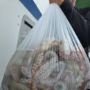 26년 8월 9일 고흥 녹동 누리호 (왕)돌문어 조황 이미지