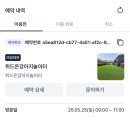 일산 반려견 단독 운동장 대관 후기♥_포동멍래블