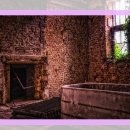 레지던스다들 이미지