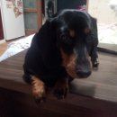 대전대흥초등학교 이미지