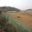 [부동산경매] 당진시 산업단지 인근 송악읍 1억대 토지 경매 이미지