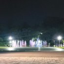 (유)신일고속관광여행사 | 여수 야경투어 낭만버스 내돈내산 후기! 뚜벅이 여행 코스 추천