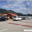 파파스팜 이미지