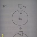 효소의원리 이미지