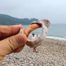 한샘민박 네이버블로그