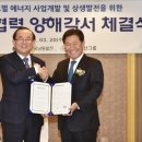 남미태양광발전소 이미지