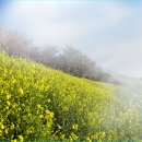 대저수문공원 이미지