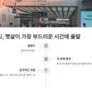 양정1동-11 이미지