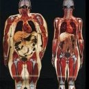 이천철권복싱체육관 이미지