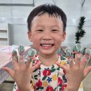 봉선화빛 네이버블로그