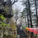 황보당 - 구미시 산호대로 191-4 | <4월 오대성산 트레킹> 오대산 상원사 적멸보궁에서 전나무 숲길까지.