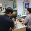 라파엘종합동물병원 이미지